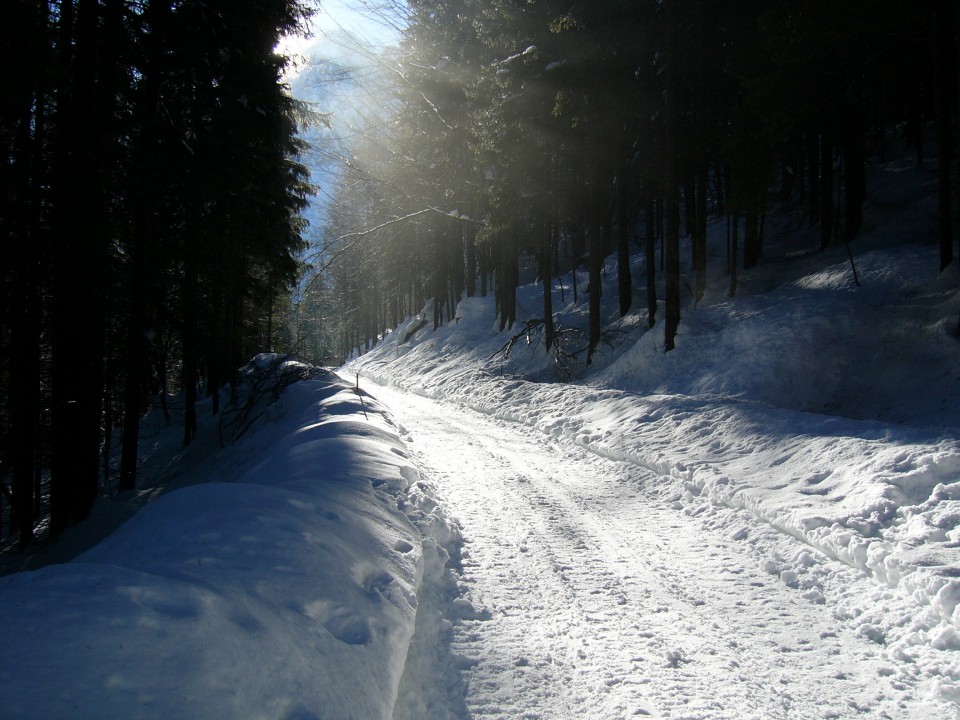 Vršič 2 - foto povečava