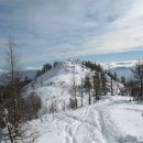 28.1.2007 Viševnik