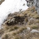 KOGEL 2007