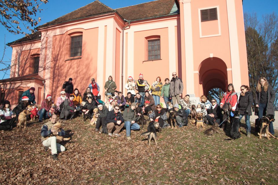 BOŽIČNI AZILAŠKI SPREHOD NA ROŽNIK 2011 - foto povečava