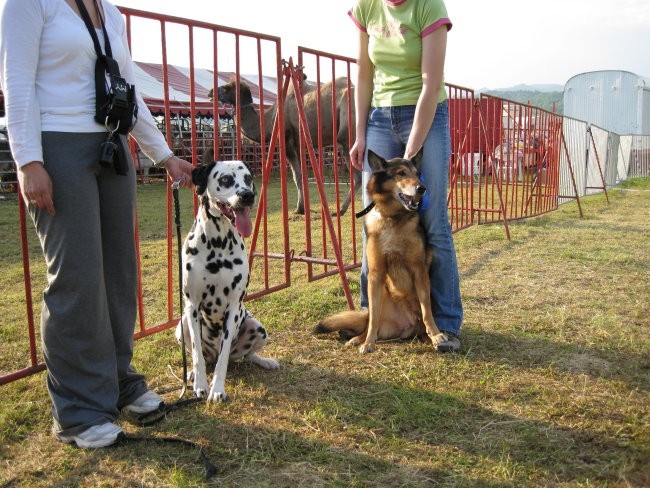 My Friends - foto povečava