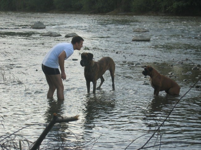 My Friends - foto povečava