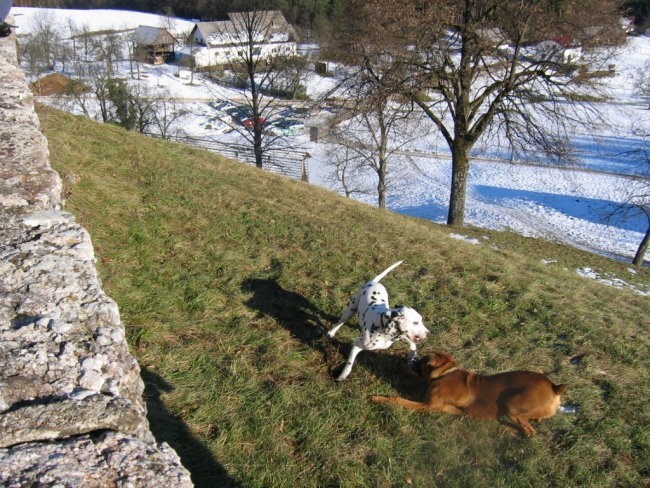 OXY,KORA IN OSTALI - foto povečava