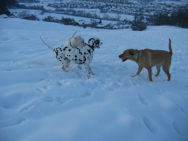 OXY,KORA IN OSTALI - foto povečava