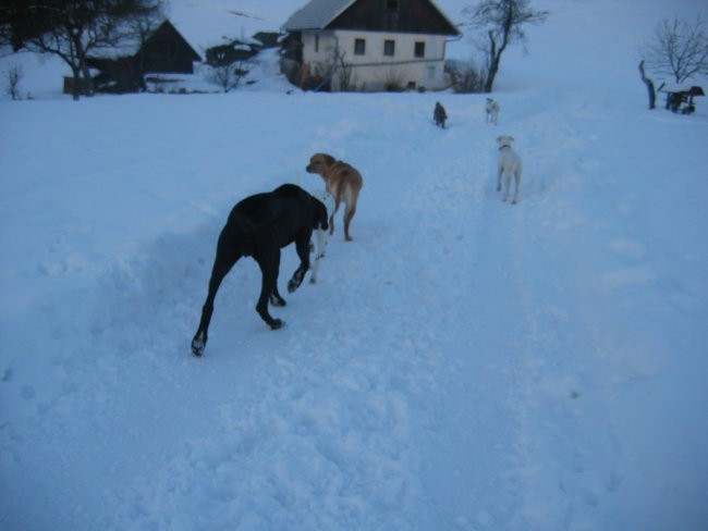 OXY,KORA IN OSTALI - foto povečava