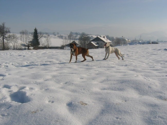 OXY,KORA IN OSTALI - foto povečava