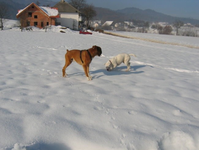 OXY,KORA IN OSTALI - foto povečava