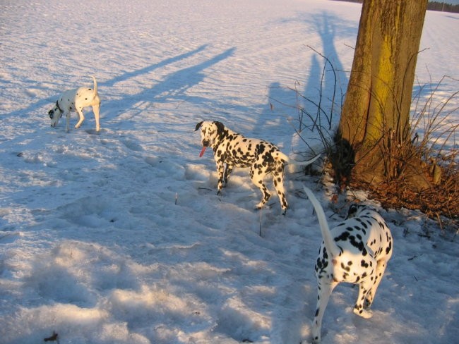 OXY,KORA IN OSTALI - foto povečava