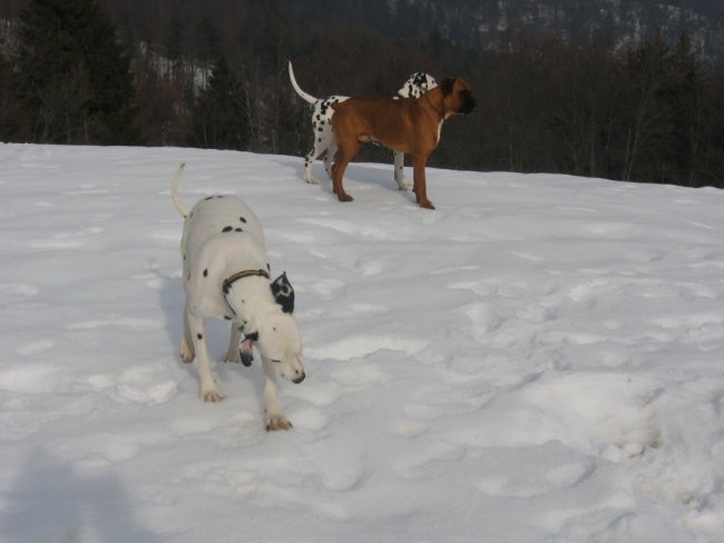 OXY,KORA IN OSTALI - foto povečava