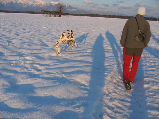 OXY,KORA IN OSTALI - foto povečava