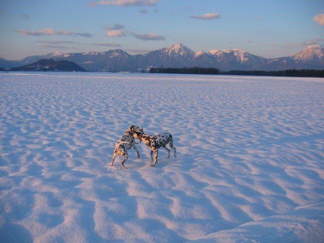 OXY,KORA IN OSTALI - foto povečava