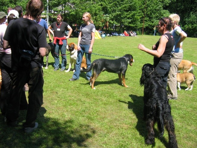 Moj pes piknik - foto povečava