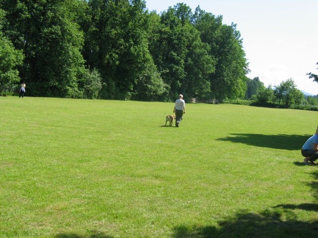 Moj pes piknik - foto povečava
