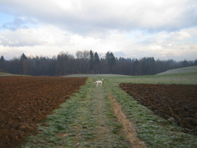 Bela&Oxy in ostali - foto povečava