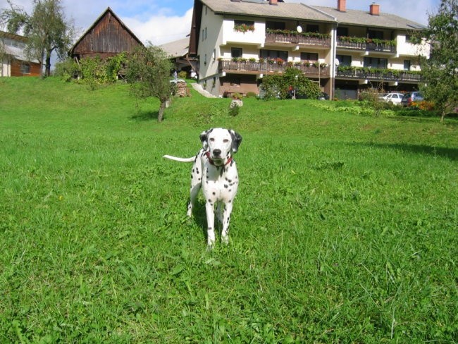 OXY - foto povečava