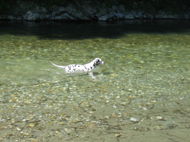 OXY - foto povečava