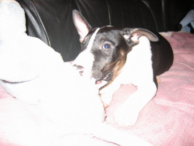 Moj medo;)