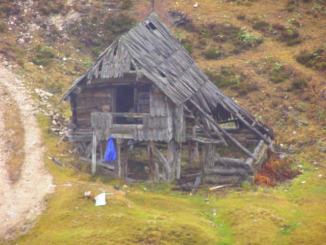 Caballo - foto