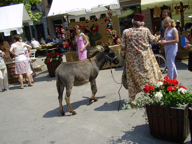 Venerina pot 2005 - foto povečava