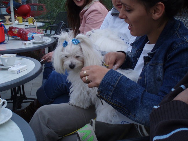 Viky 2 - foto povečava