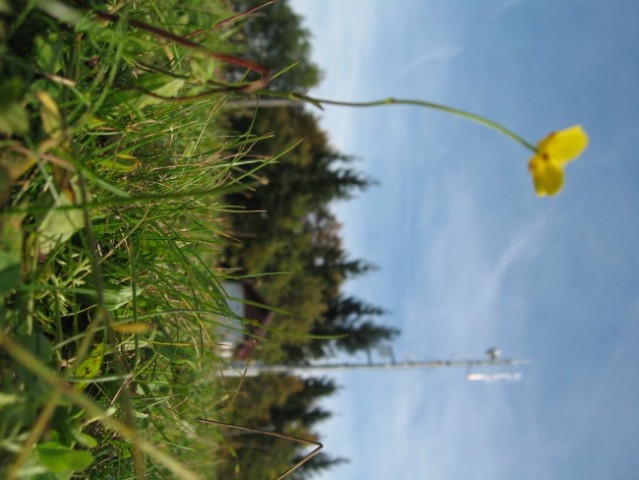 Kolesarjenje - foto