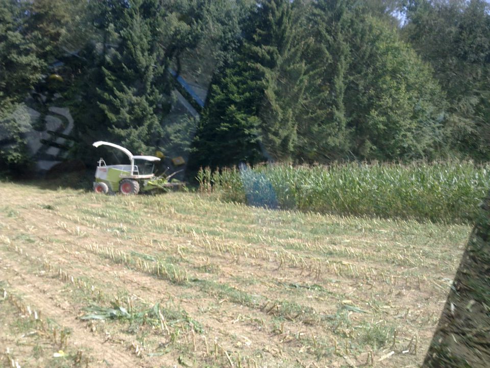 Silaža 2011 - foto povečava