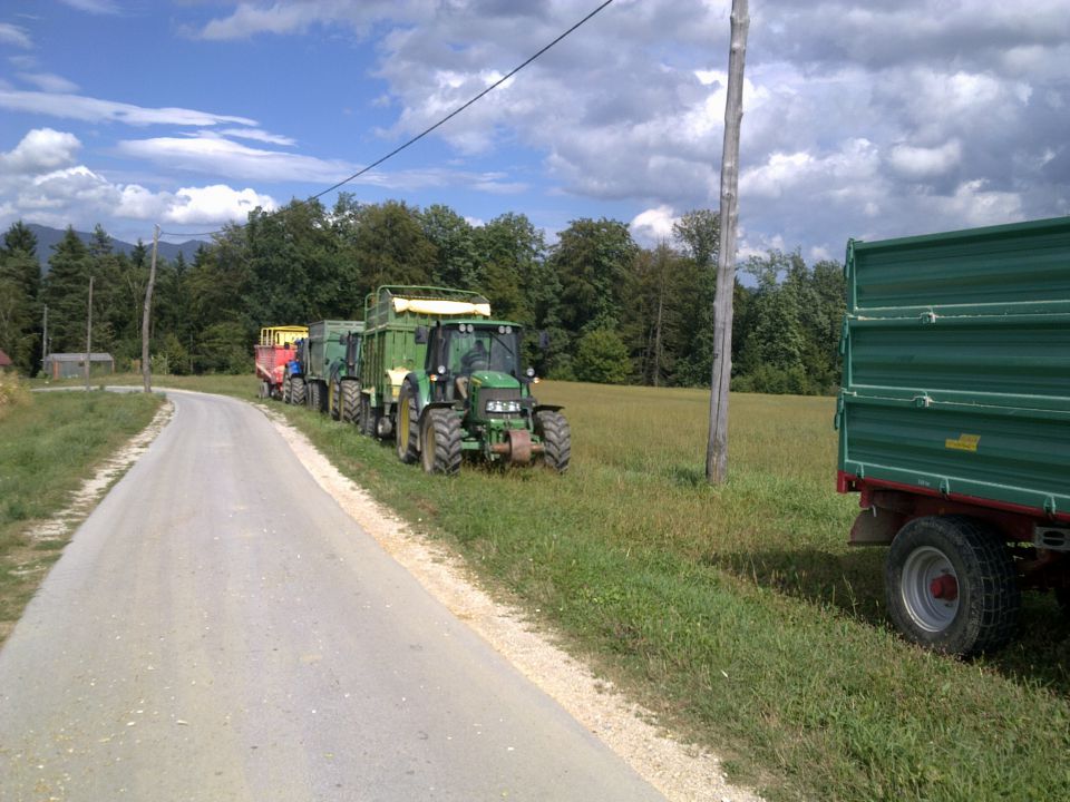Silaža 2011 - foto povečava