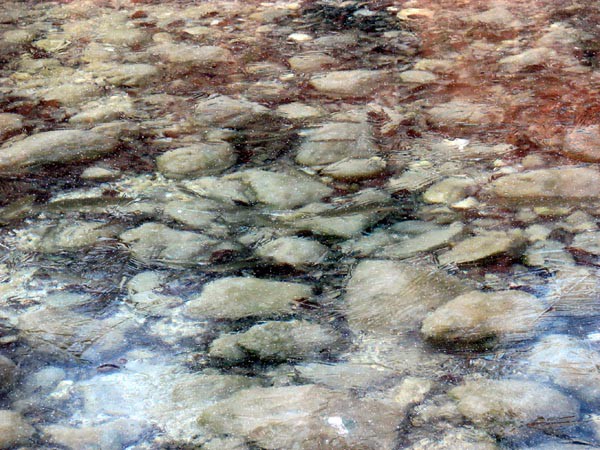 Zaledenelo jezerce, pod ledom pa ribice