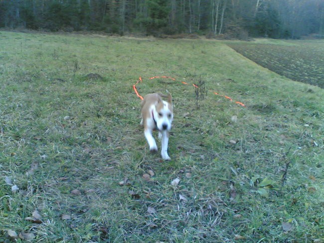 Lady - foto povečava