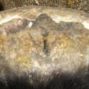 LF heel before trim