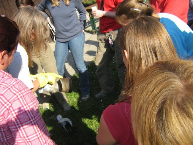 SEMINAR - foto povečava