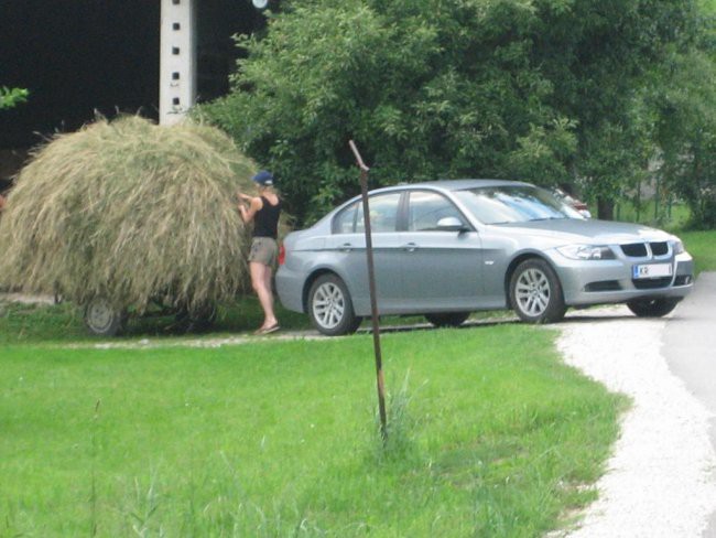 Kr neki - foto povečava