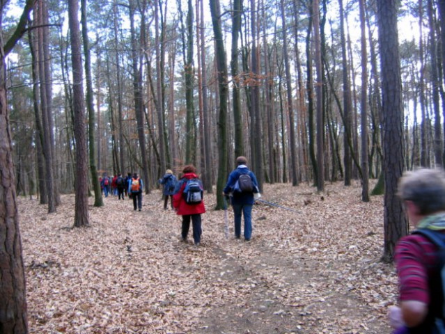 GORIČKO - 2. marec 2008 - foto