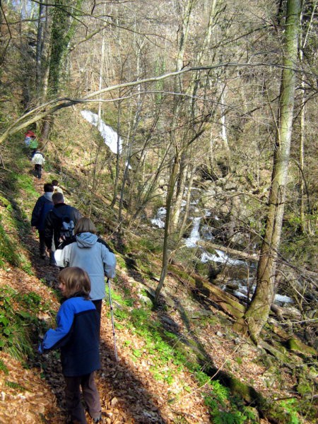 POHORJE - 6. april 2008 - foto povečava