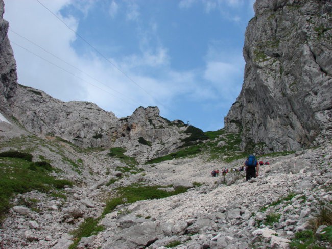 GRINTOVEC - 28. junij 2008 - foto povečava