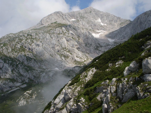 GRINTOVEC - 28. junij 2008 - foto povečava