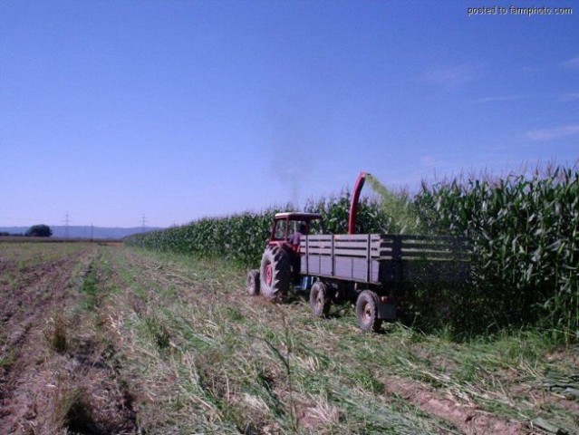Slike poljoprivreda - foto