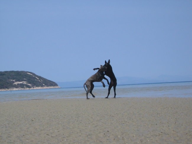Svit in Bluna na morju - foto povečava