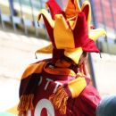 Totti fan