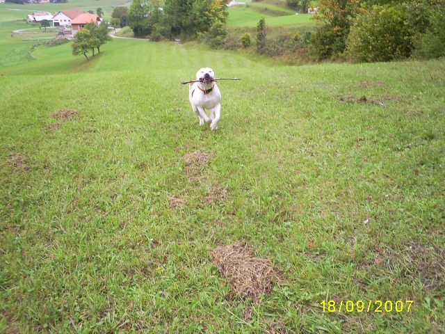 SEPTEMBER 2007 - foto povečava