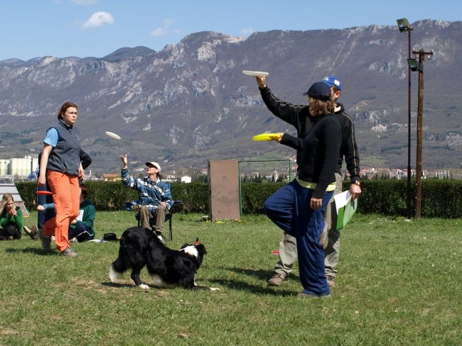 Frisbee seminar & frisbee  4 fun - foto povečava