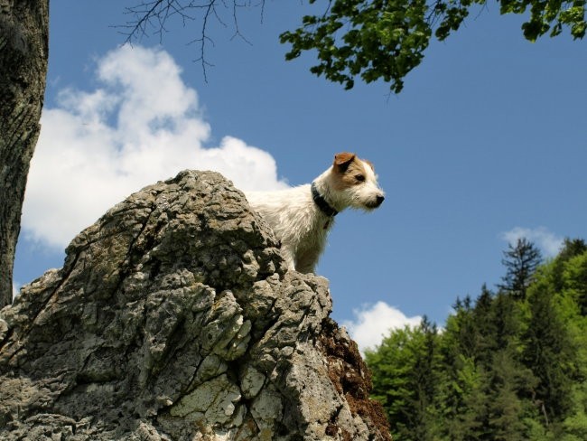 Visoko - Poljanska dolina - foto povečava