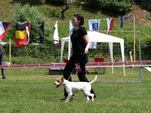 CAC Mežaklja 01.06.2008 - foto