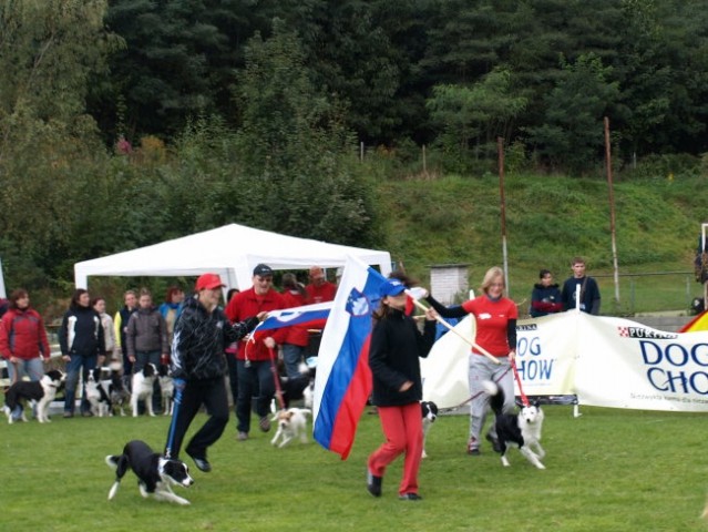 Dogfrisbee EC 2008 - foto