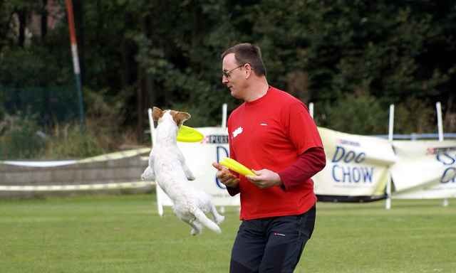 Dogfrisbee EC 2008 - foto