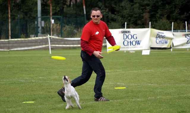Dogfrisbee EC 2008 - foto