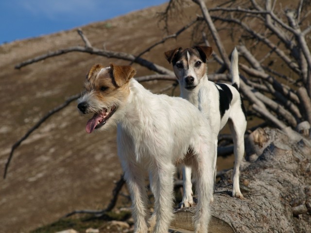 Kalški greben, 25.10.2008 - foto