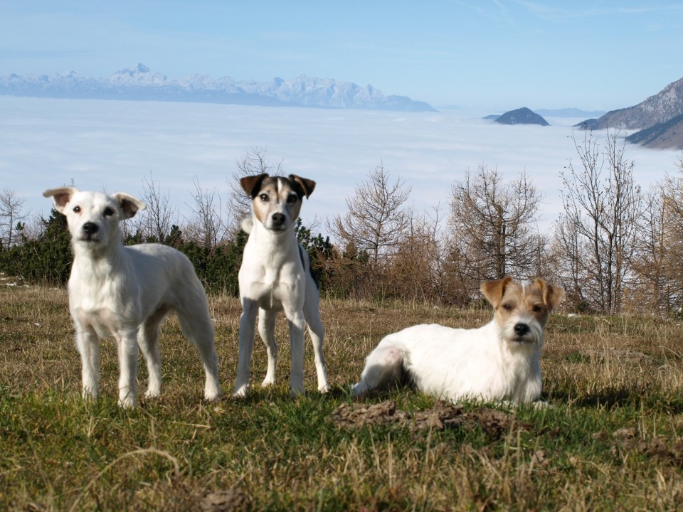 Kalški greben, 25.10.2008 - foto povečava