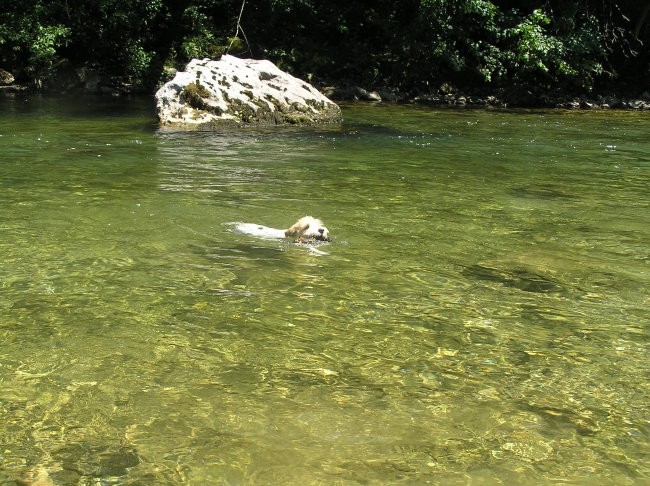 Plužnje 25.6.2007 - foto povečava