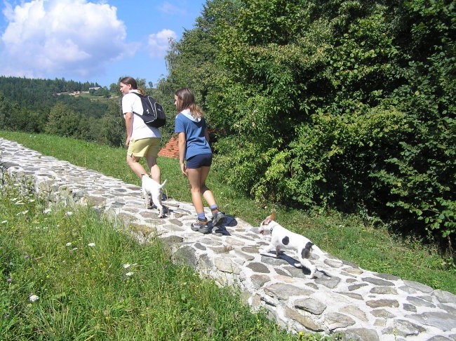 Bistriški vintgar 15.8.2007 - foto povečava